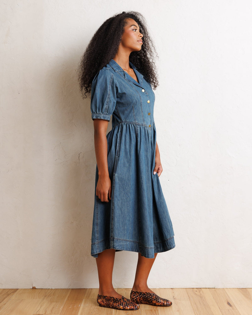 Orchard Denim Dress