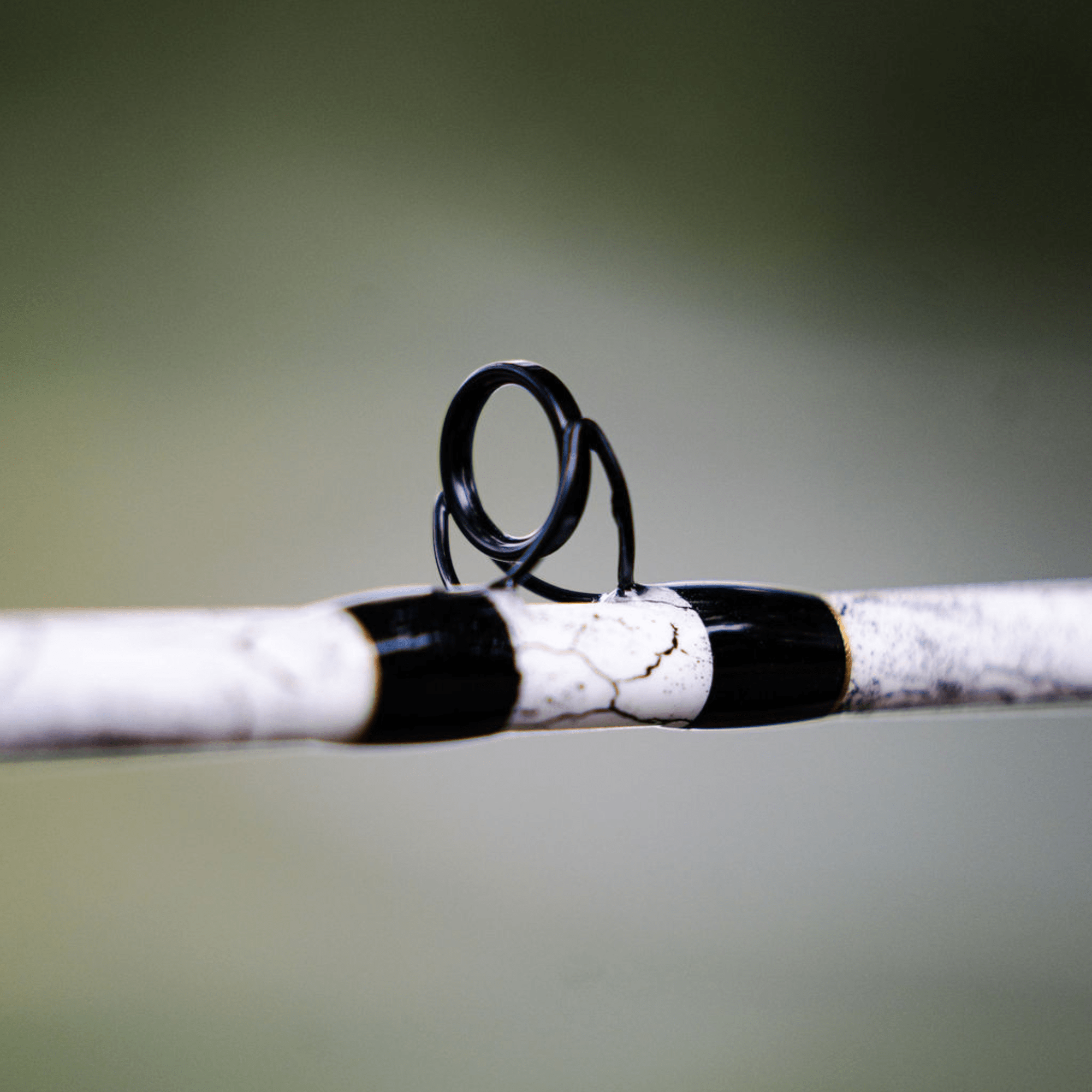 1 of 220 The Testament of Time Spinning Rod - Limited Edition Rod