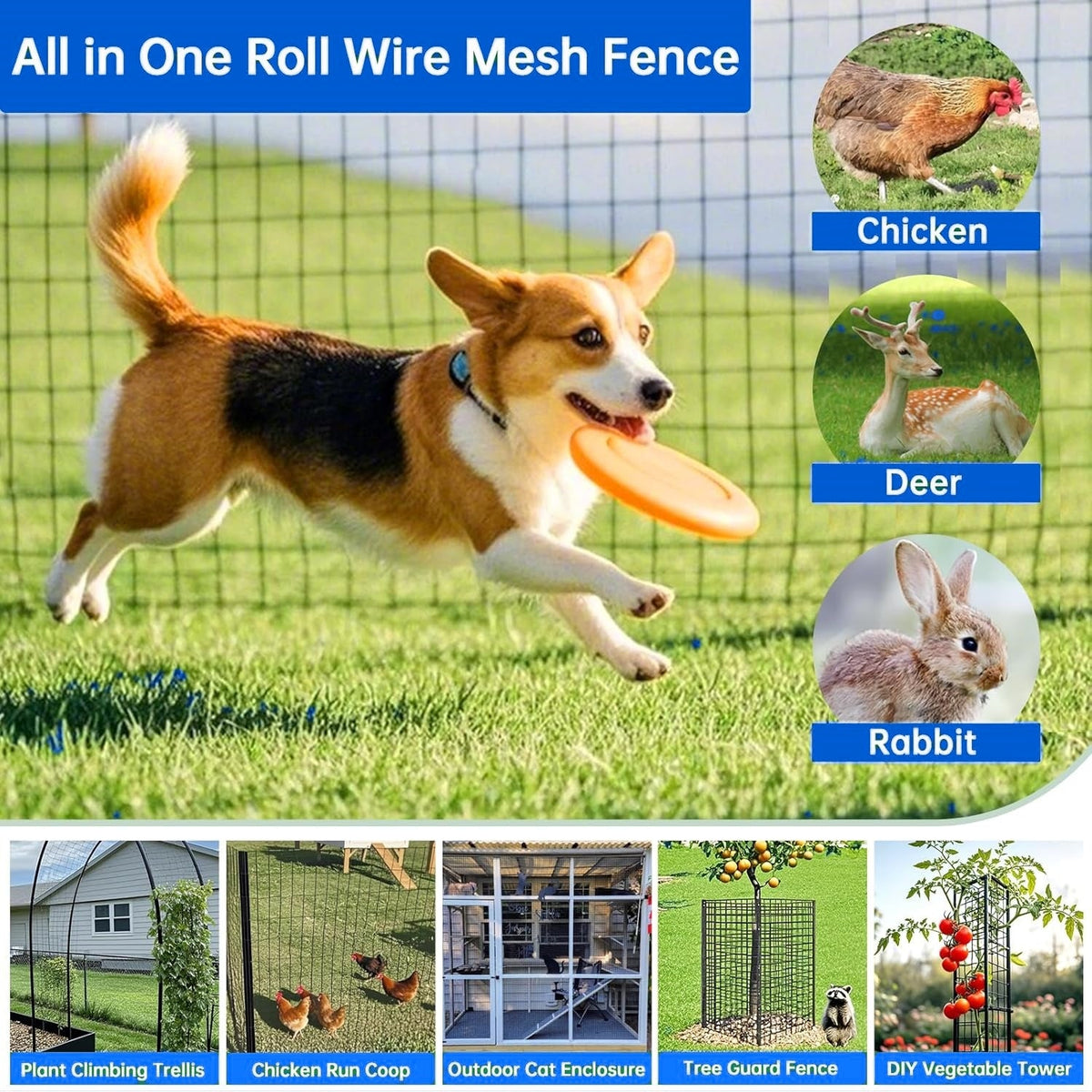 40 Inch × 50 Ft Wire Fencing