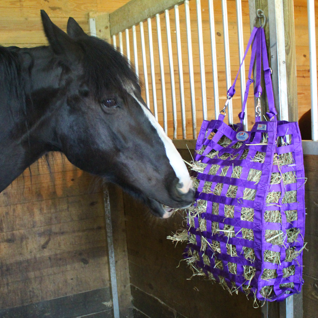 Superior 4-Sided Slow Feeder Horse Hay Bag – 1.75" Square Openings – Restricted Slow Feed – 1-Year Warranty | Patented Design