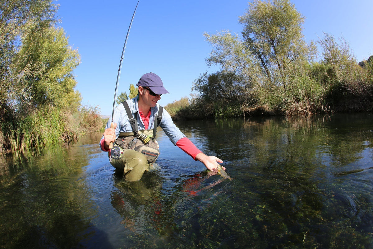 Quill Gordon Classic Dry Fly - 12 Flies Size 14