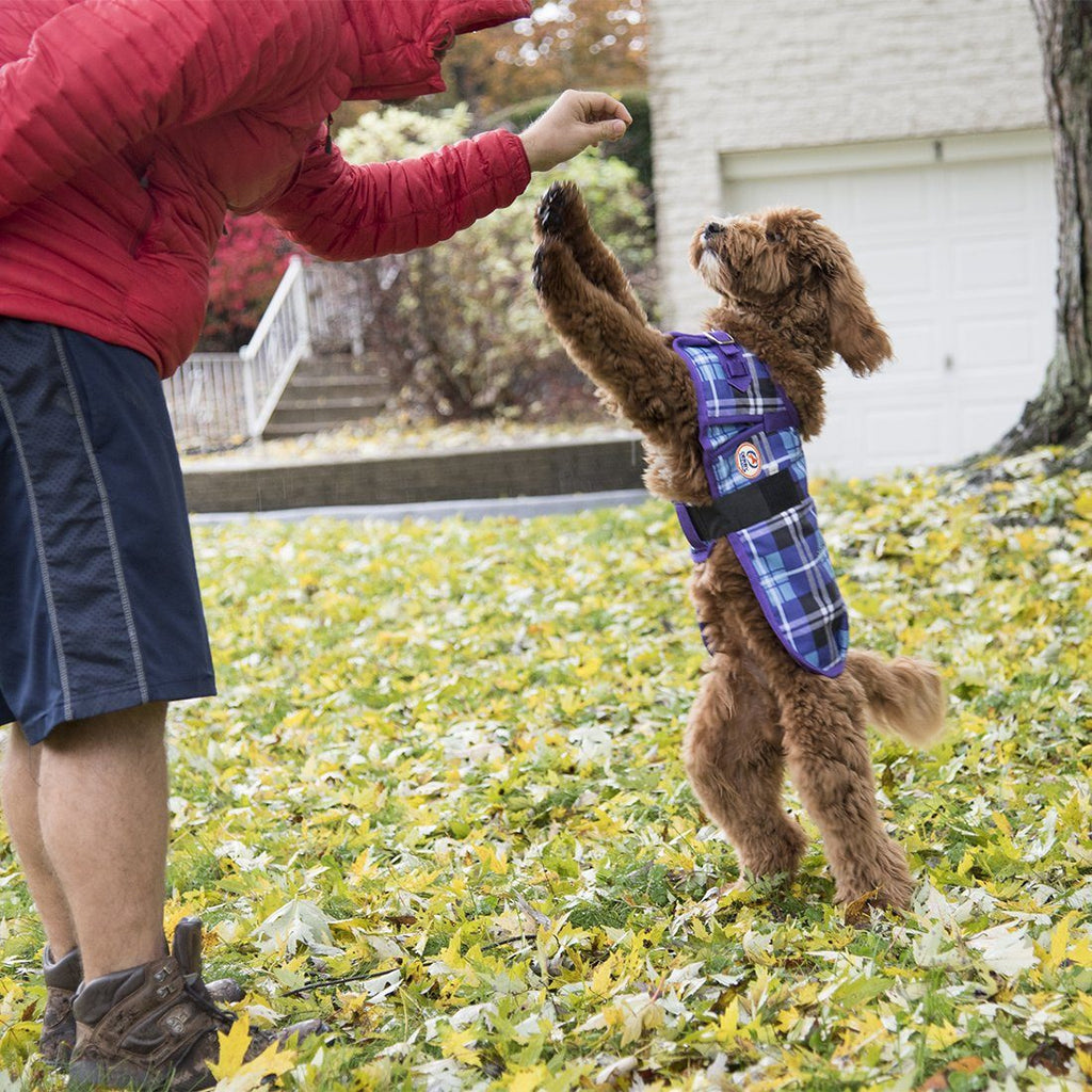 Derby Originals Ruff Pup Green Fawn Plaid Dog Coat – 1200D Waterproof Ripstop, 150g Insulated Winter Jacket, Breathable 3-Layer Design, Adjustable Fit, 2-Year Warranty
