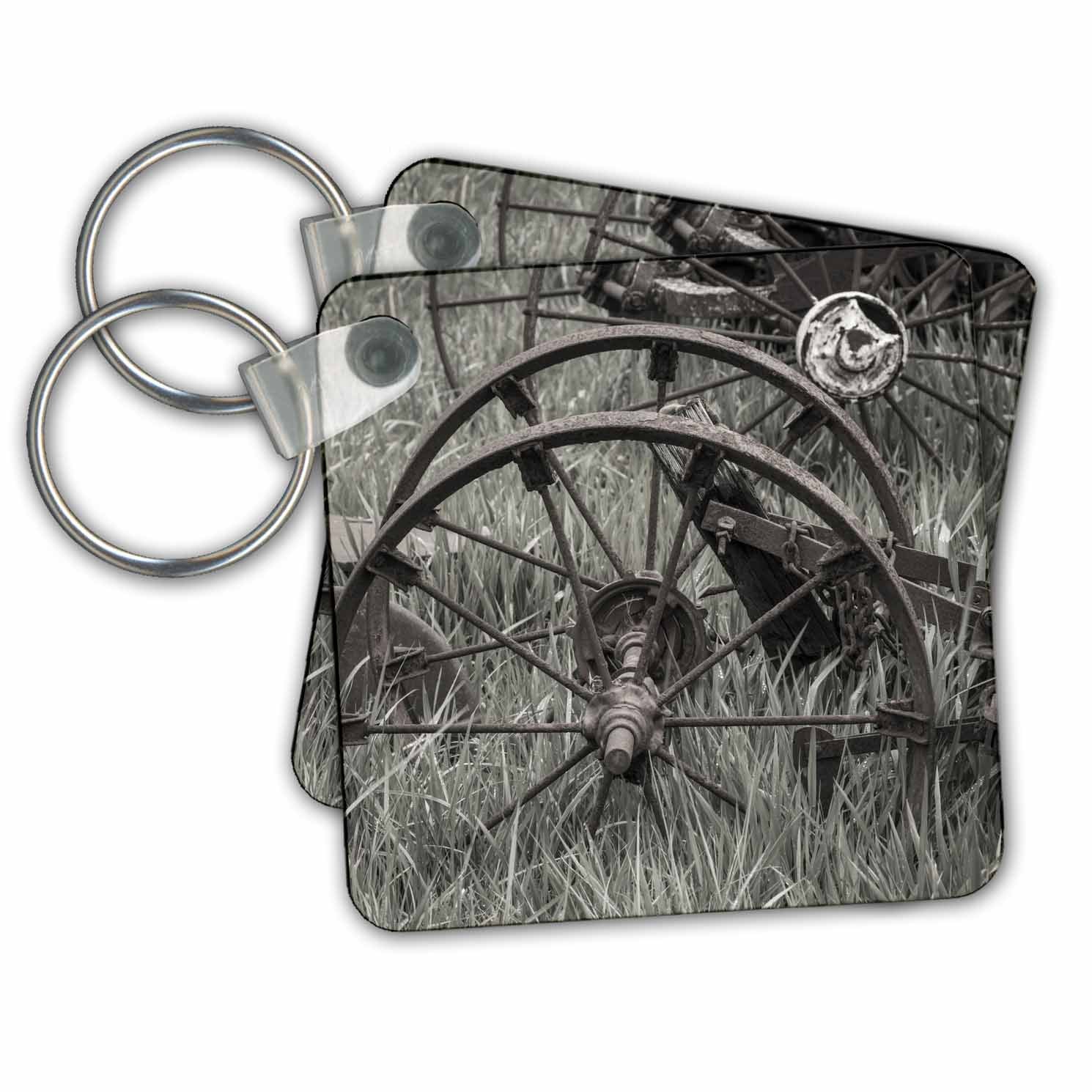 Key Chain - USA, Oregon, Tillamook. Antique farm machinery. Places