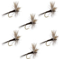 Quill Gordon Classic Dry Fly - 6 Flies Size 14