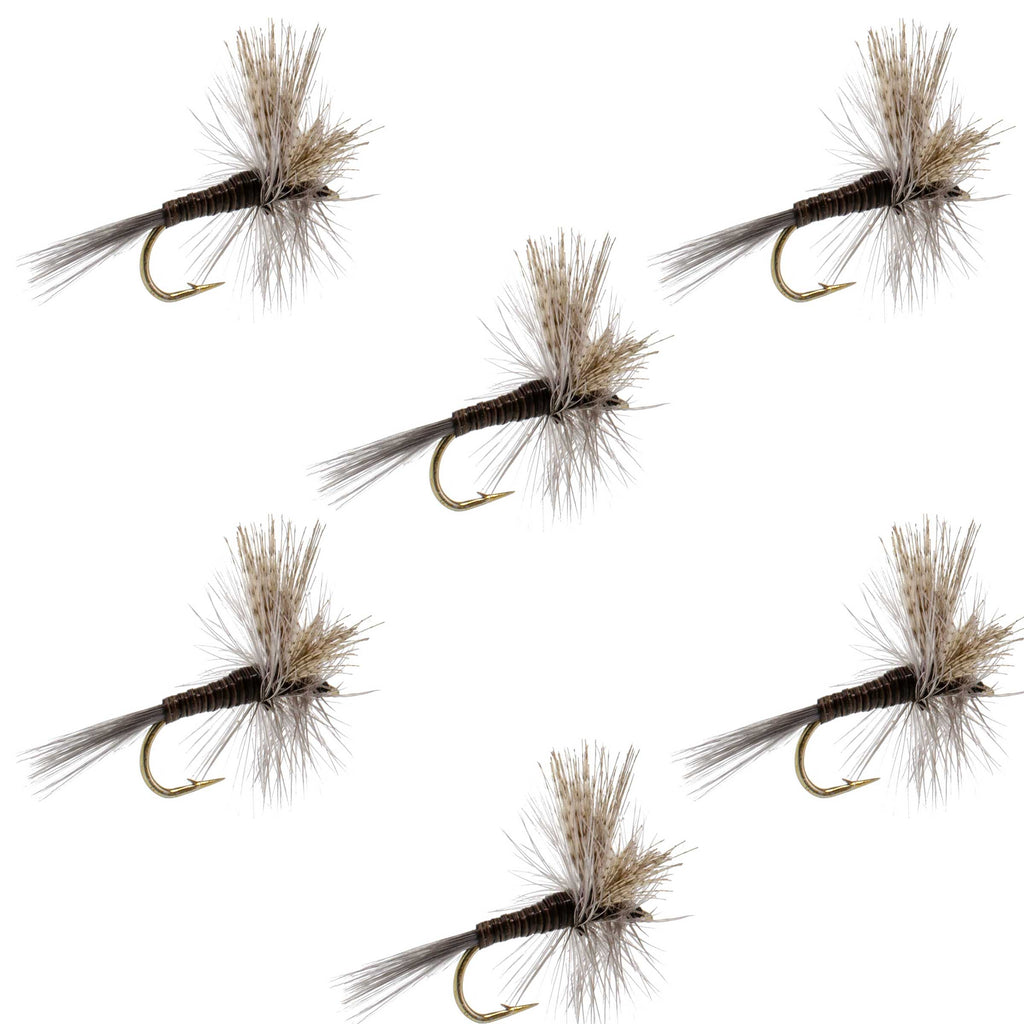 Quill Gordon Classic Dry Fly - 6 Flies Size 16