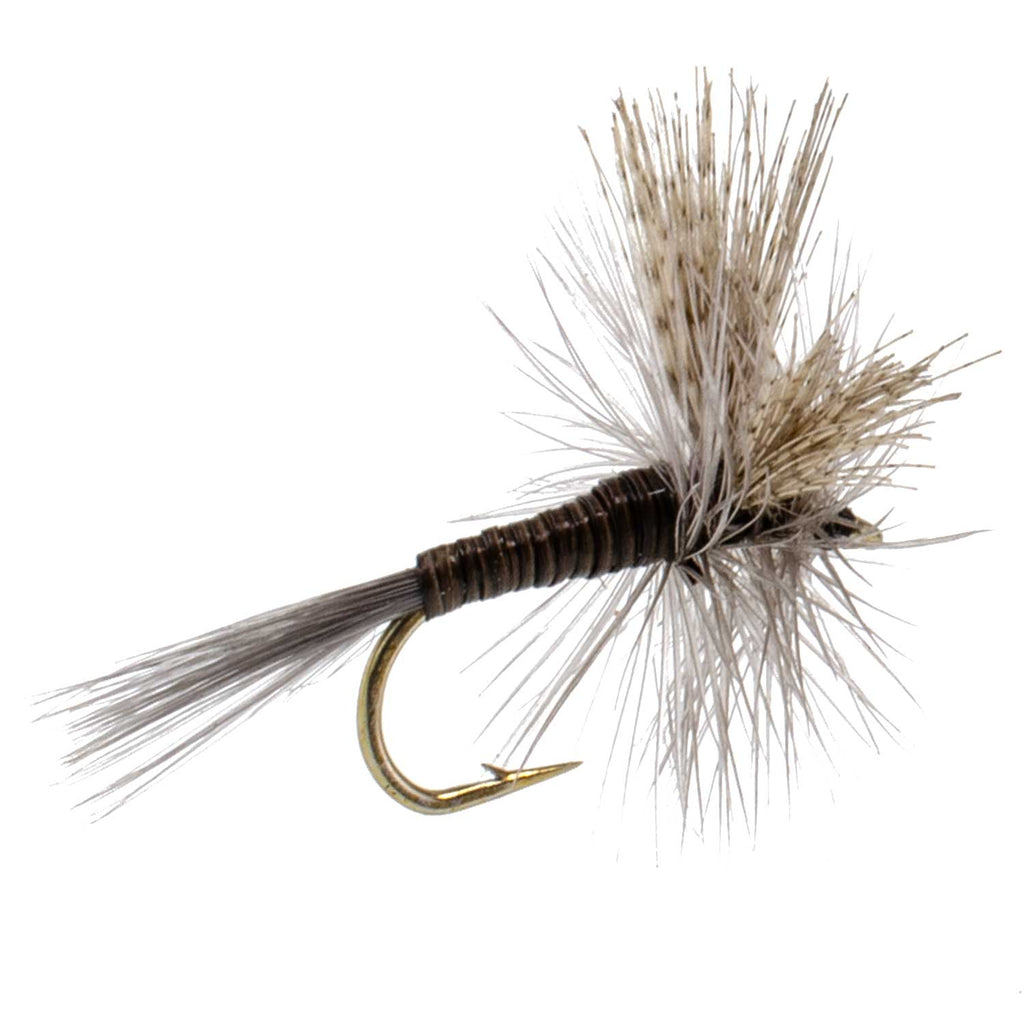 Quill Gordon Classic Dry Fly - 6 Flies Size 16