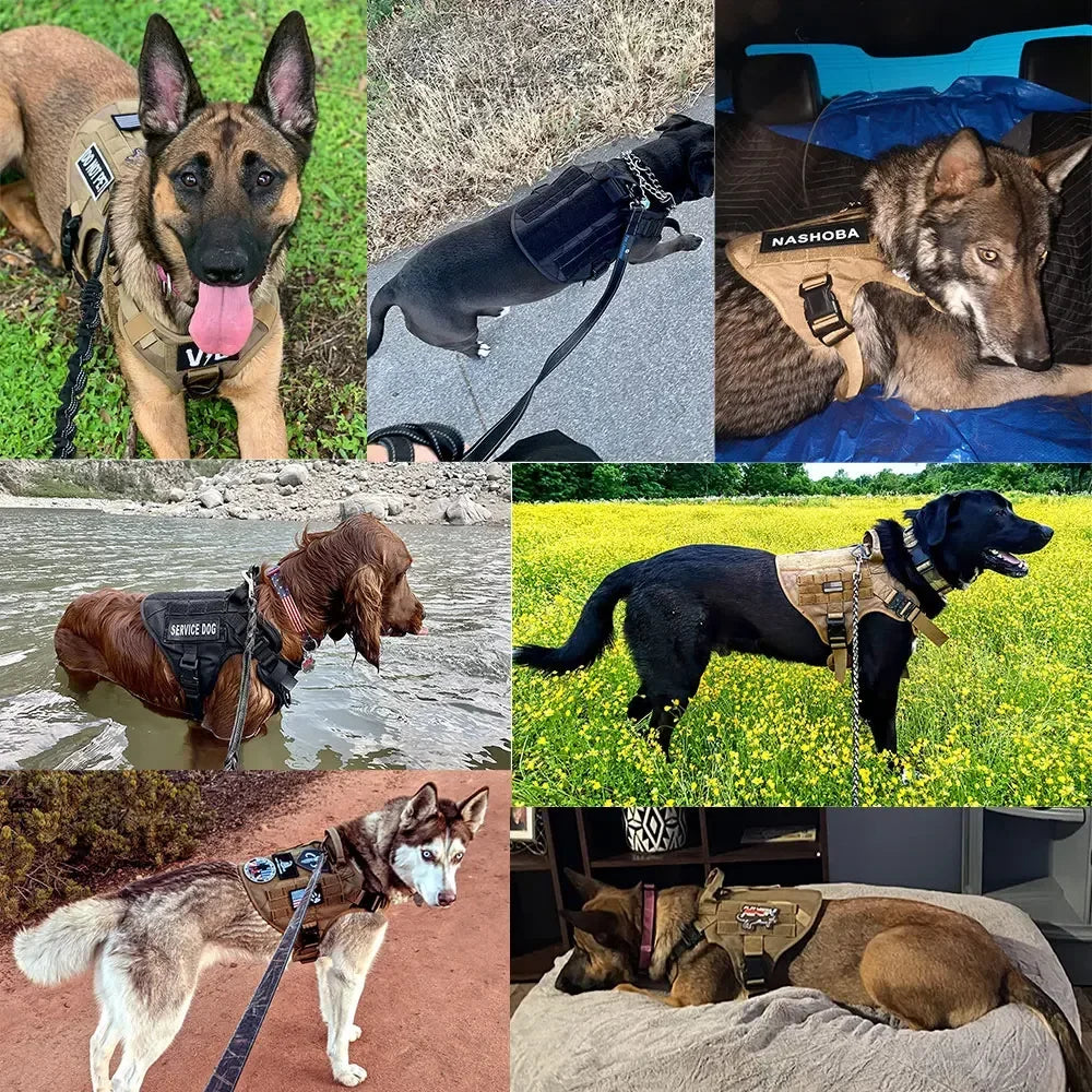 Military Large Dog Harness Pet German Shepherd Malinois Training Vest Tactical Medium Dog Harnesses Hunting For Dogs Accessories
