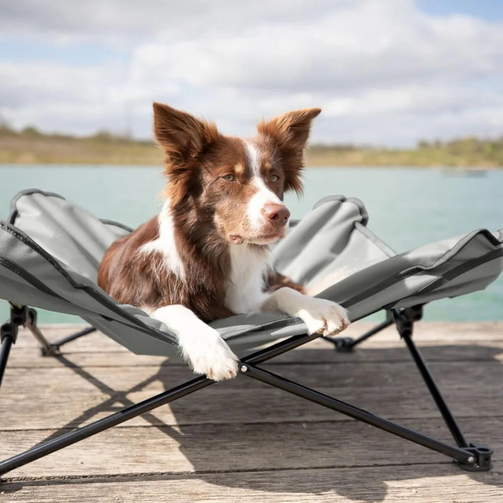 Spring Dog Camping Accessories | Camping Cot for Medium Dog, Elevated Pet Travel Bed 34.6" x 34.6" | Foldable Elevated Puppy Bed