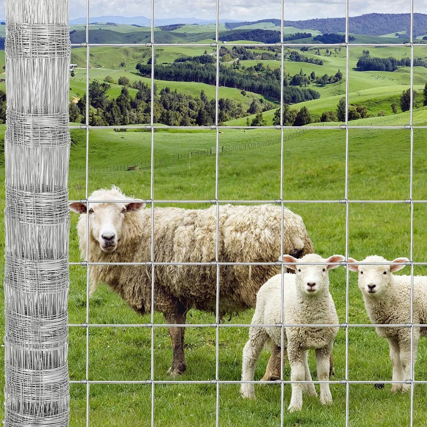 Galvanized Steel Livestock Fencing Heavy Duty Wire Fence Panels Zinc Coated Rust Resistant Animal Enclosure Farm Pasture Fence