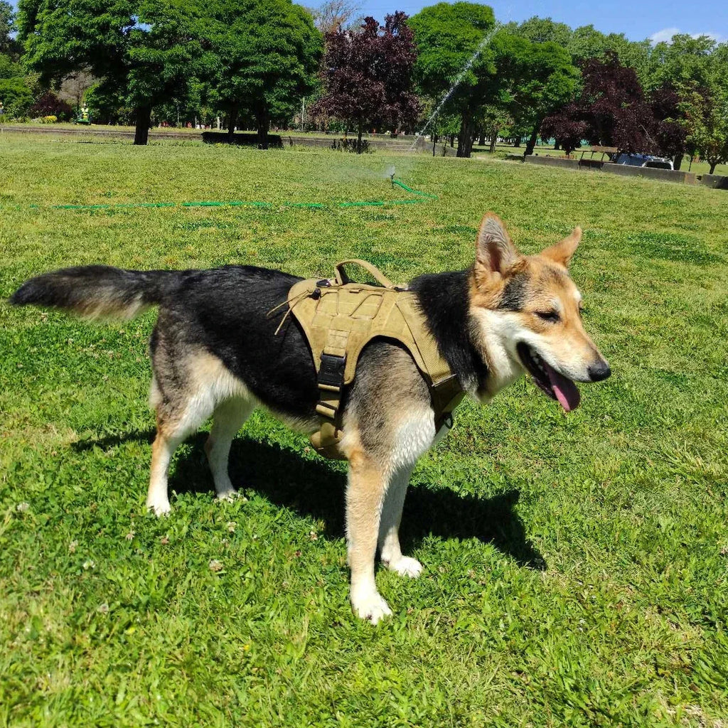 Tactical Dog Vest Harness No Pull Comfortable Adjustable Pet Harness For Medium Large Dog Military Training With Handle Labrador