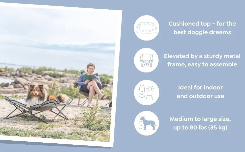 Spring Dog Camping Accessories | Camping Cot for Medium Dog, Elevated Pet Travel Bed 34.6" x 34.6" | Foldable Elevated Puppy Bed