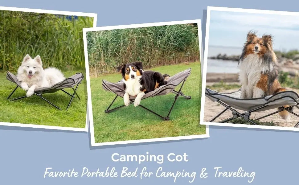 Spring Dog Camping Accessories | Camping Cot for Medium Dog, Elevated Pet Travel Bed 34.6" x 34.6" | Foldable Elevated Puppy Bed