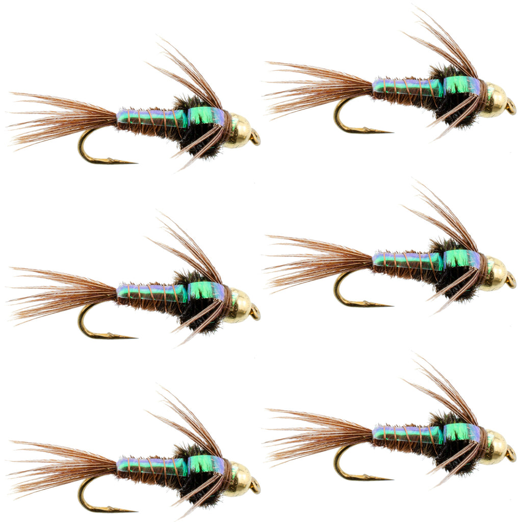 Tungsten Bead Head Flash Back Pheasant Tail Nymph 6 Flies Size 12