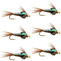 Tungsten Bead Head Flash Back Pheasant Tail Nymph 6 Flies Size 12