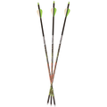Carbon Express Adrenaline Fletched Carbon Hunting Arrows