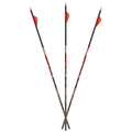 Carbon Express D-Stroyer MX Hunter Carbon Hunting Arrows and Shafts
